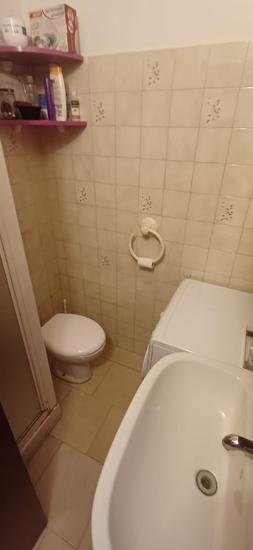  id.5263745