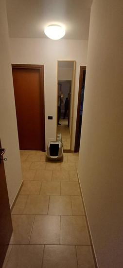  id.5263739