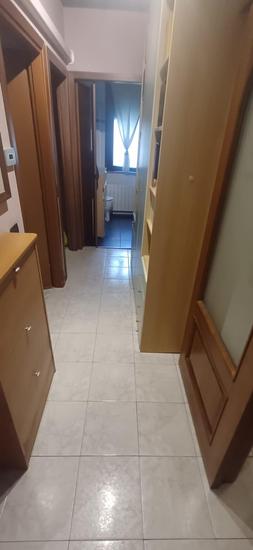  id.5272515