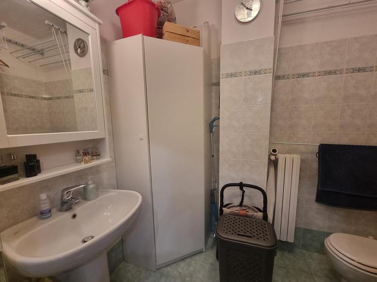  id.5271932