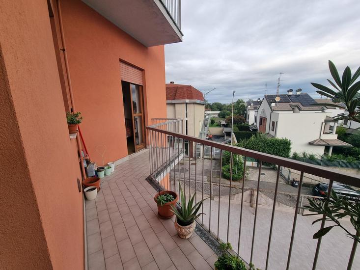  id.5272763