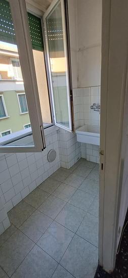  id.5274445