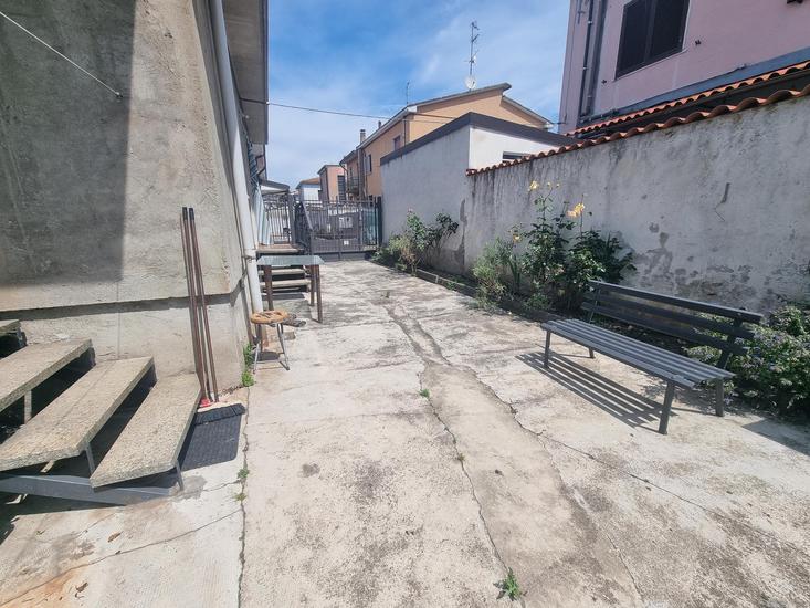  id.5301647