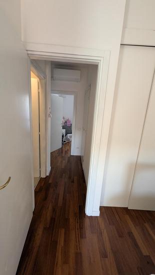  id.5303843
