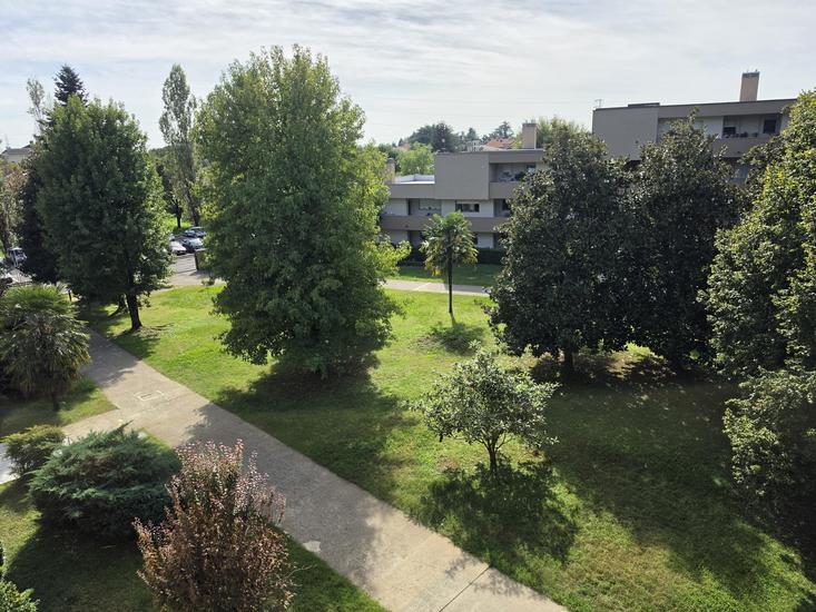  id.5310896