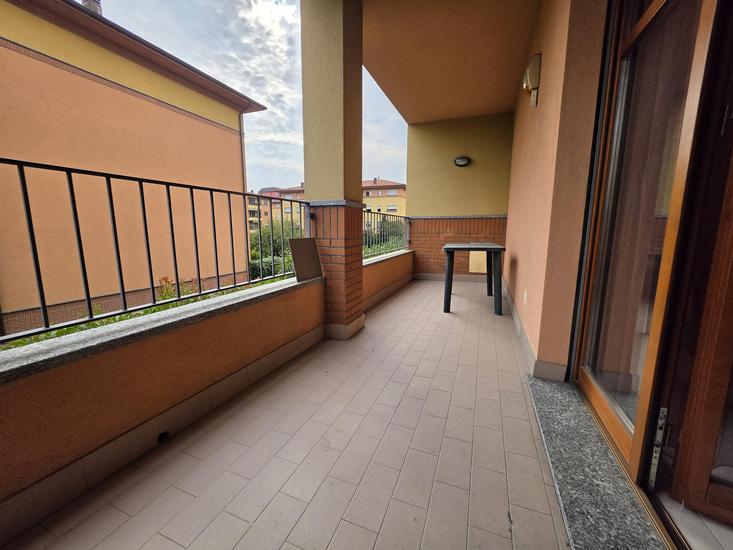  id.5312155